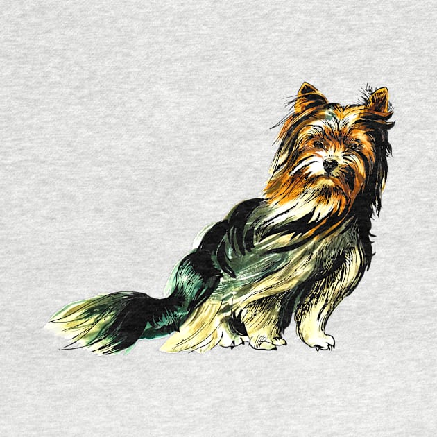 Yorkshire Terrier by VicaVeresk